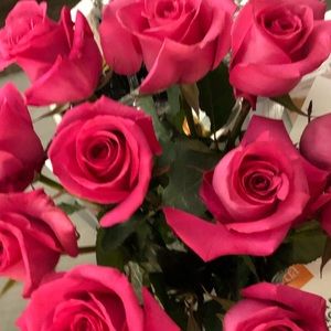 Meet your Posher, Maya